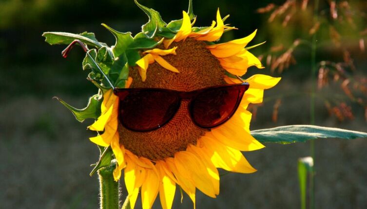 Для чего нужны желтые очки?