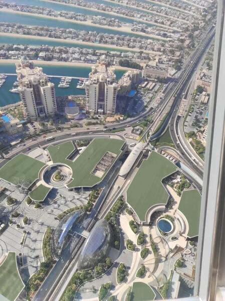 Ствол Пальмы Джумейра и отходящие влево её листья.)