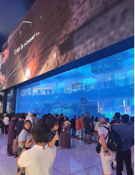 Аквариум в Дубай Молле Аквариум в Дубай Молле