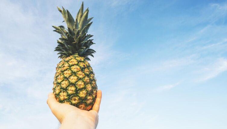 Как вырастить ананас на подоконнике?