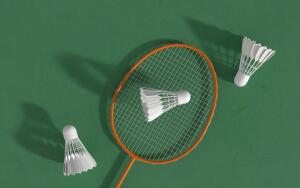 Спортивный бадминтон. Часть 1. Как появилась эта игра?