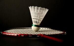 Спортивный бадминтон. Часть 2. Какие разновидности игры существуют в наше время?