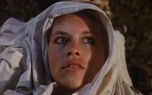 Кризис ценностей в мировом кинематографе. Чем интересно творчество режиссера Йоса Стеллинга?