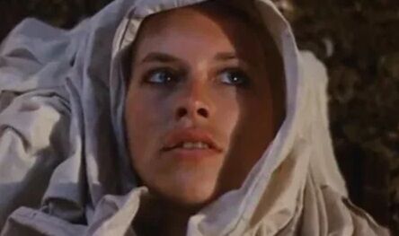 Кризис ценностей в мировом кинематографе. Чем интересно творчество режиссера Йоса Стеллинга?