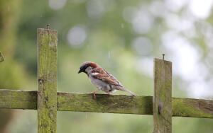 Личный антидепрессант. Часть 2. Как переосмыслить идею?