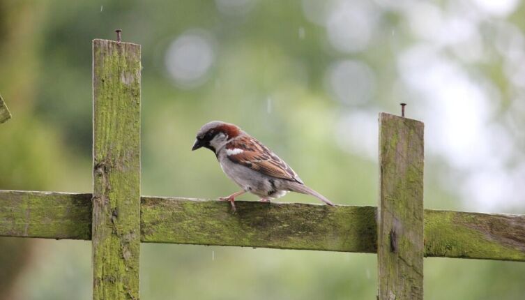 Личный антидепрессант. Часть 2. Как переосмыслить идею?