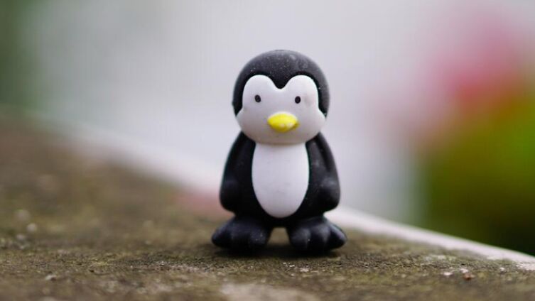 Королевская оттепель. Часть 2. Кто разрушит ледяную стену?