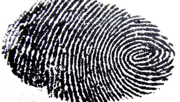 Отпечатки пальцев в древности, или Как родилась дактилоскопия?