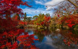 Чем удивляет Япония?