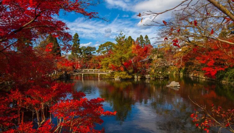 Чем удивляет Япония?