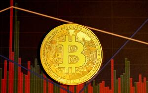 Криптообменник в Новосибирске: как выбрать в 2026 году?
