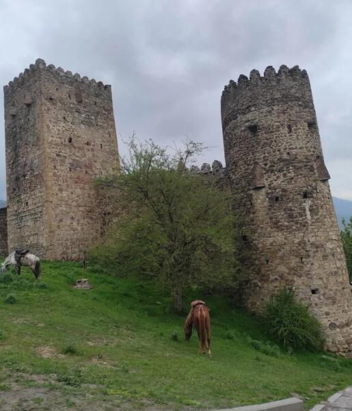 Башни крепости Ананури Башни крепости Ананури
