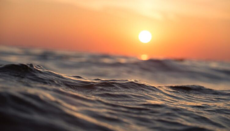 Где находится Саргассово море и чем оно уникально?