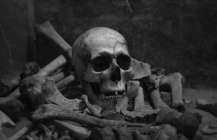 Что интересного нашлось на немецком кладбище железного века? Что интересного нашлось на немецком кладбище железного века?