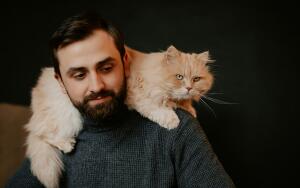 Как уберечь себя от гриппа и сохранить жизнь своей кошке?