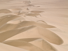 Основным фактором перемещений песка являются изменения погоды...