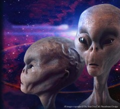 Существуют ли инопланетяне? Некоторые свидетельства Существуют ли инопланетяне? Некоторые свидетельства