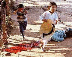 Как маленький Вьетнам смог победить Соединённые Штаты Америки?