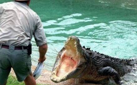 У животных, как  и у нас, людей, - есть и характер, и темперамент, и эмоции. И им тоже хочется общения...