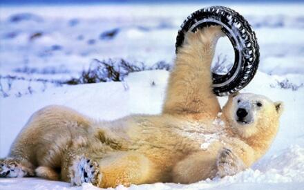 Эх ты, силушка молодецкая!