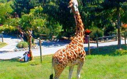 Как бы так изловчиться и достать... Солнце с неба!