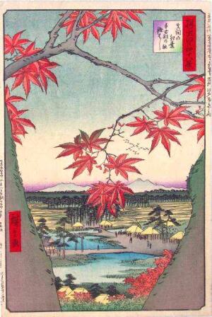 Hiroshige -- 100 Views Edo -- Maple Trees at Mama