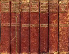 Мэри Фиттон и Вильям Шекспир, или Кто она, смуглая леди сонетов?