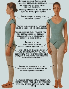 Весь позвоночник человека сконструирован природой в расчёте на движение и пружинистый эффект. А в какой позе сейчас находится ваш позвоночник?..