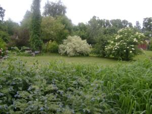 Натур-гарден