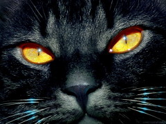 Почему число 13 называют «Чертова дюжина»?