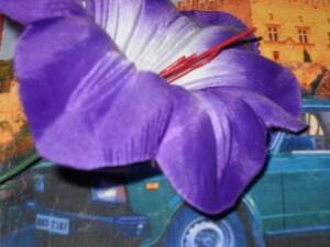 Женщины! Окружите машинку мужчины красотой