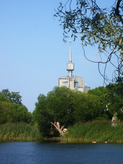 Пруд в Английском парке. (Фотографии к статье: И. Грошева)