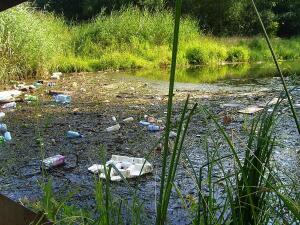 Последствия отдыха у воды в Английском парке