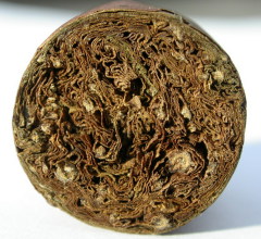 Какие бывают сигары?