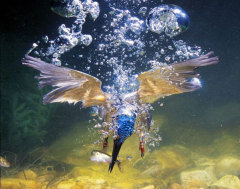 Что нужно понять, чтобы стать успешным менеджером?