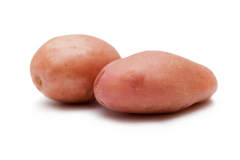 Чем накормить семью, когда в доме шаром покати?