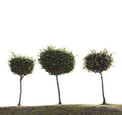 Какими мы бываем? Три типа личности