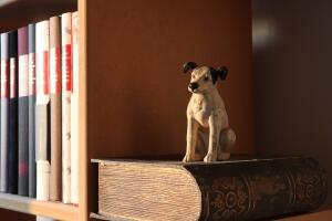 Литературные
…собаки. Вспомним классику?