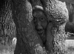 Фото: misto.odessa.ua