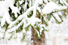 Фото: Depositphotos.com