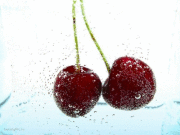 Катерина Таёкина