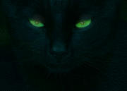 Сергей Игнатьев