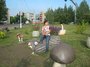 Магия Сайфутдинова