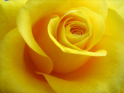 Людмила Разуваева