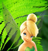 Ольга Апасова