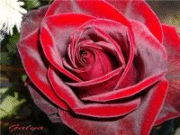 Светлана Захарова