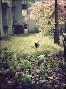 Ксения Филиппова