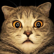 Виталий Самохин