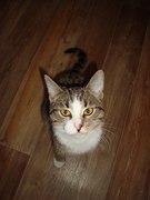 Сандра Ралдугина