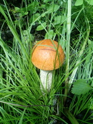 Мария Балакина